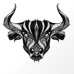 Meet your Posher, Diego